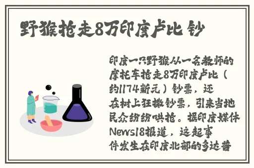 久久久久**一区精品果冻